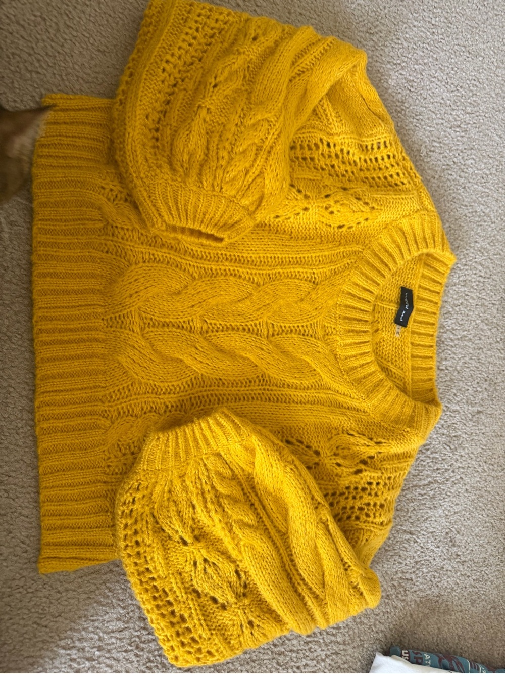 Mustard Seed Golden Cable Knit Sweater